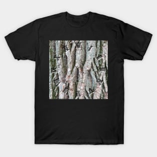 Tree bark background clock T-Shirt